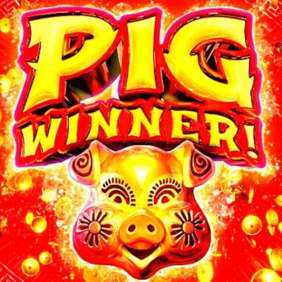 Pig Winner