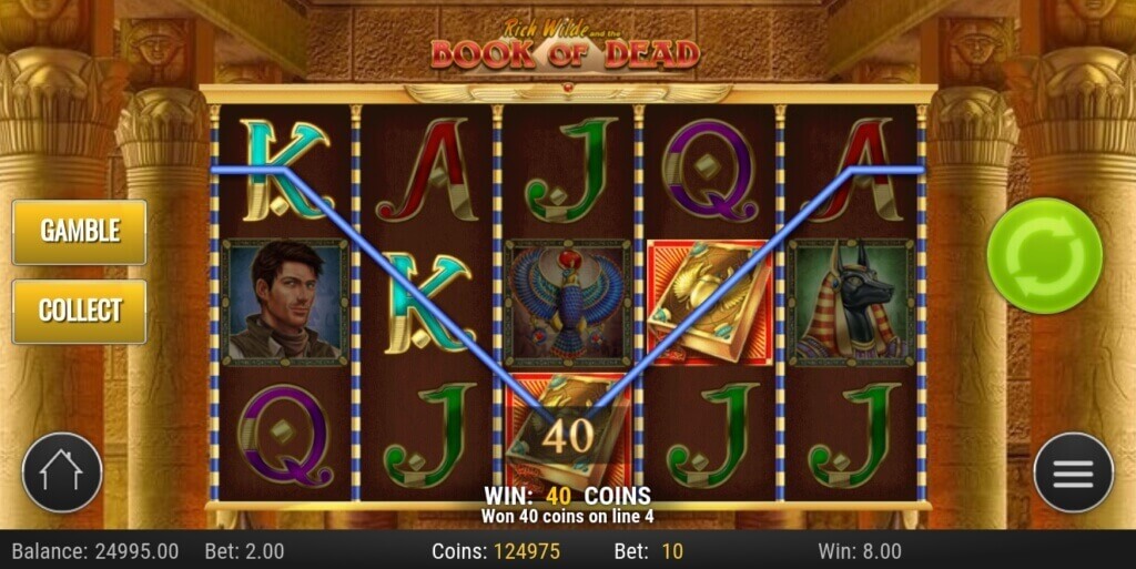 Rich Wild and the Book of Dead Video Slot Review