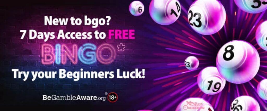 BGO Bingo Beginners Luck Room