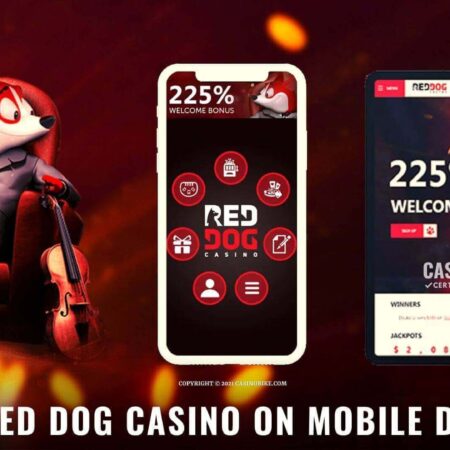 Play Red Dog Casino on Mobile Devices