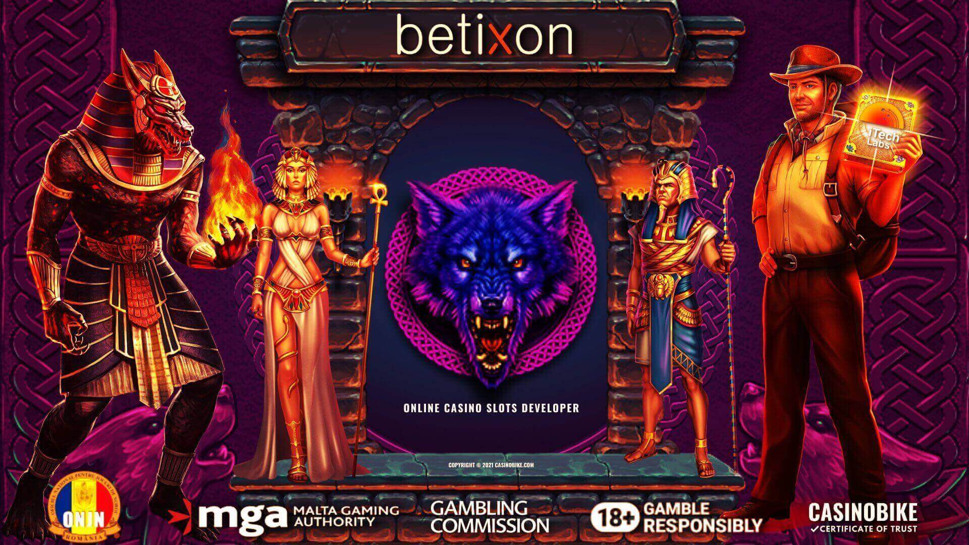 Betixon Online Casino Slot Games Developer Review