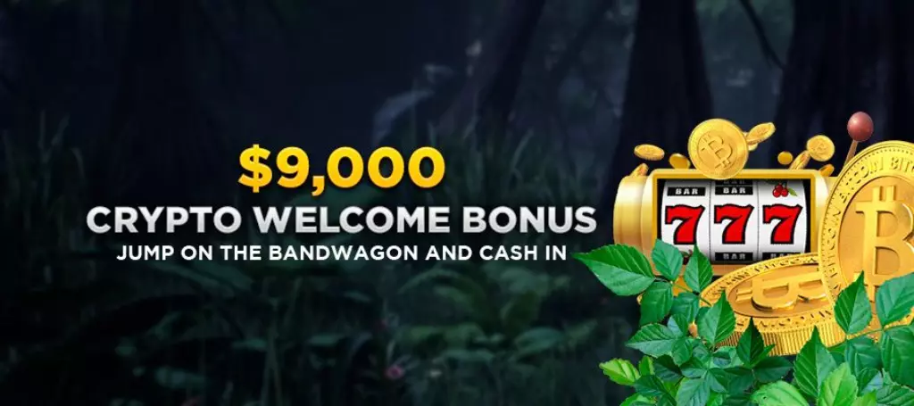 Wild Casino Crypto Welcome Bonus