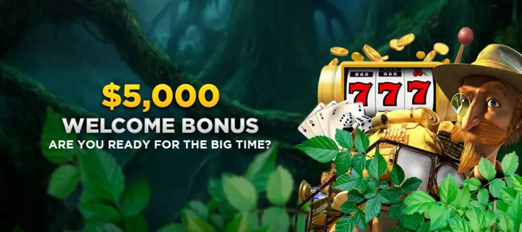 Wild Casino Welcome Deposit Bonus